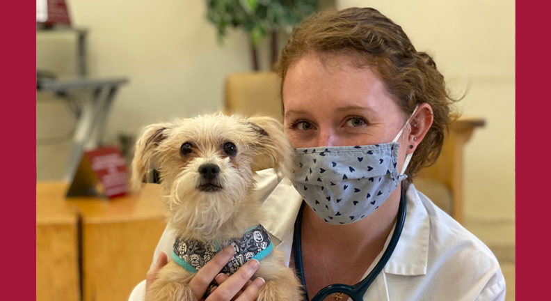 Kaitlin Gray with a dog in the vet hospital reception area.