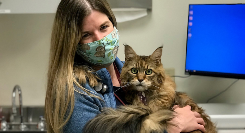 Washington State University neurology resident Hilary Wright poses with HoneyBee, a 10-year-old Maine Coon.