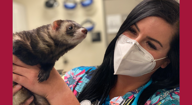Holly Hopkins holding a mink.