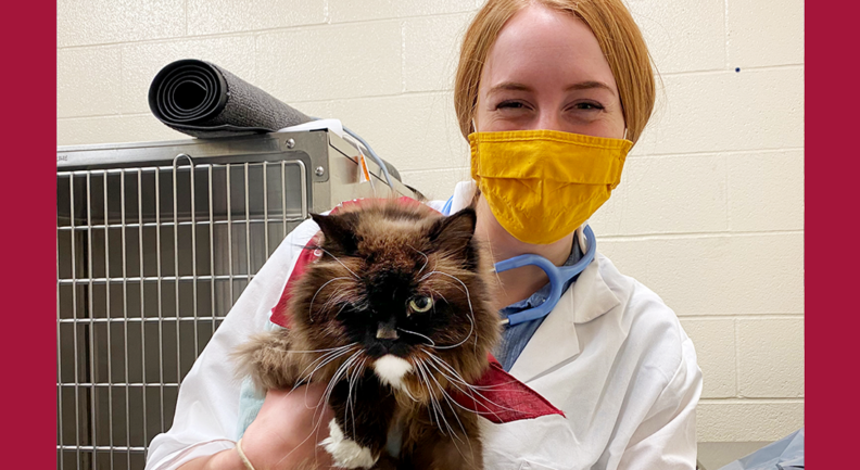 Katy Olson holding a cat in the vet hospital.
