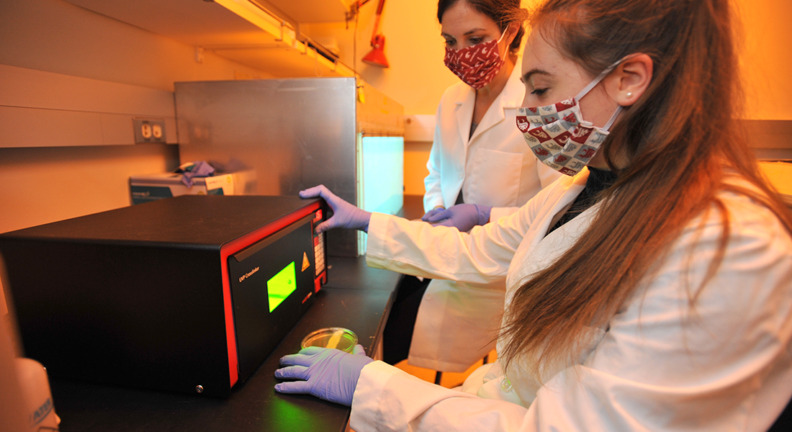 WSU student Haley Morris and laboratory technician Marian Laughery prepare yeast cells for another round of irradiation inside Professor John Wyrick’s lab.