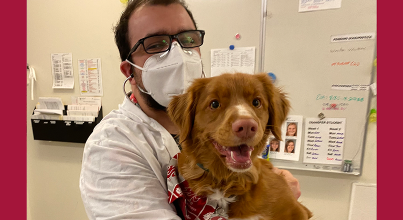 Aaron Deml with a young dog in the vet hospital.