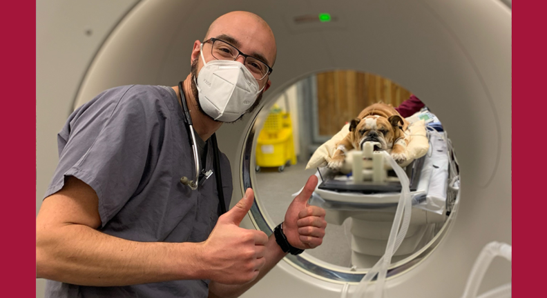 Minas Mkhitarian with a bulldog that is prepped for a scan.