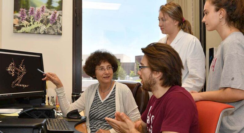 Co-Principal Investigator Alla Kostyukava works with students in her office.