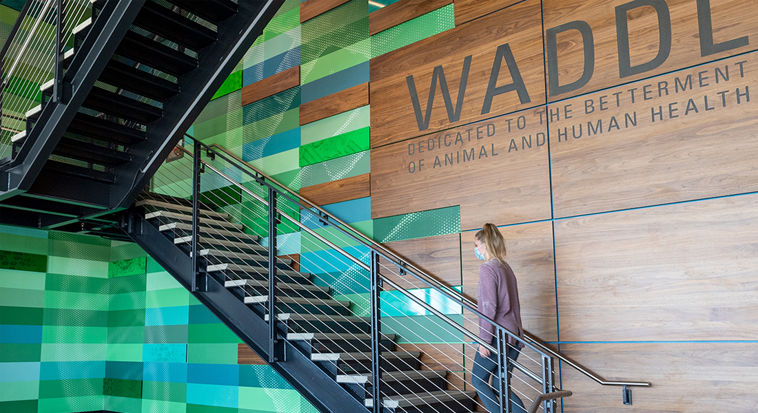The new Washington Animal Disease Diagnostic Laboratory facility on the WSU Pullman campus. (WSU Photo Services)