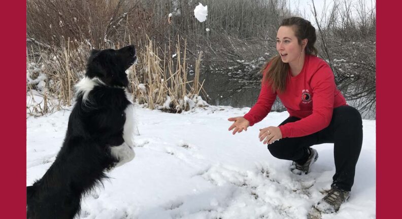 Allyson Quigley playing with in the snow with her Border Collie.