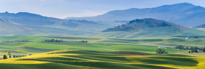 June morning Kamiak butte
