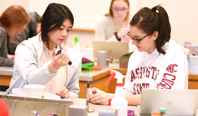 Students in lab