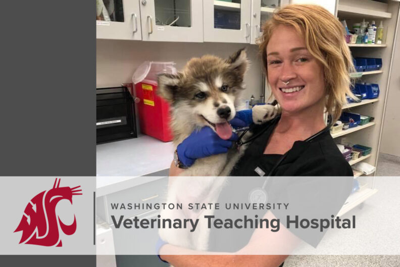 Sarah Huston, veterinary technician in Emergency and Critical Care, holding a husky puppy.