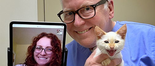 A veterinarian in a clinic, holding a kitten in one hand and an ipad with a student on screen in the other hand.