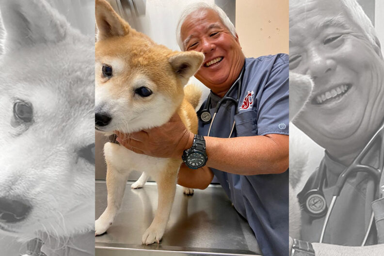 Dr. Craig Nishimoto at his clinic with a medium-sized dog.