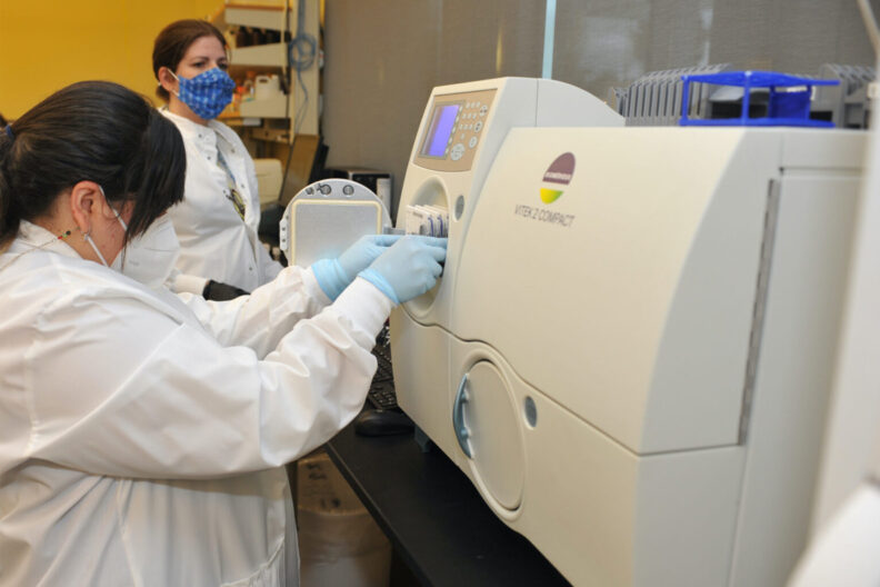 Andrea Gomez, laboratory technician, identifies bacteria and tests for antibiotic resistance using the VITEK2 machine in Professor Doug Call’s laboratory on the WSU Pullman campus. There are no open liquids at the pictured stage of research.