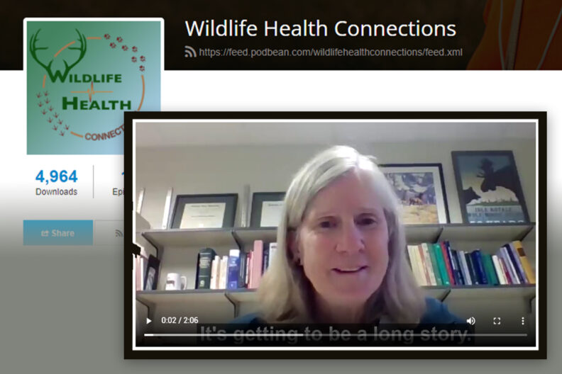 Screen shot of Dr. Margaret Wild podcast.