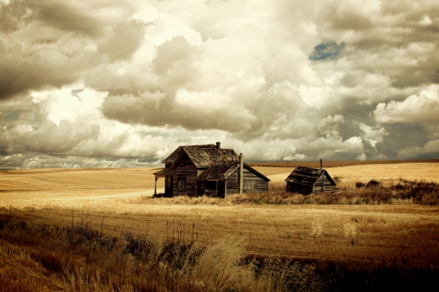 Photo of old homestead. Dramatic clouds fill the sky. Stubble fields surround the home and outbuilding.