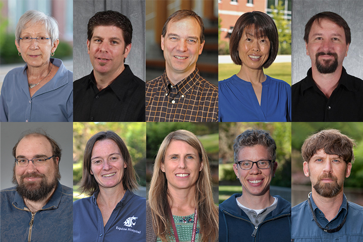 Collage of faculty who received promotions.