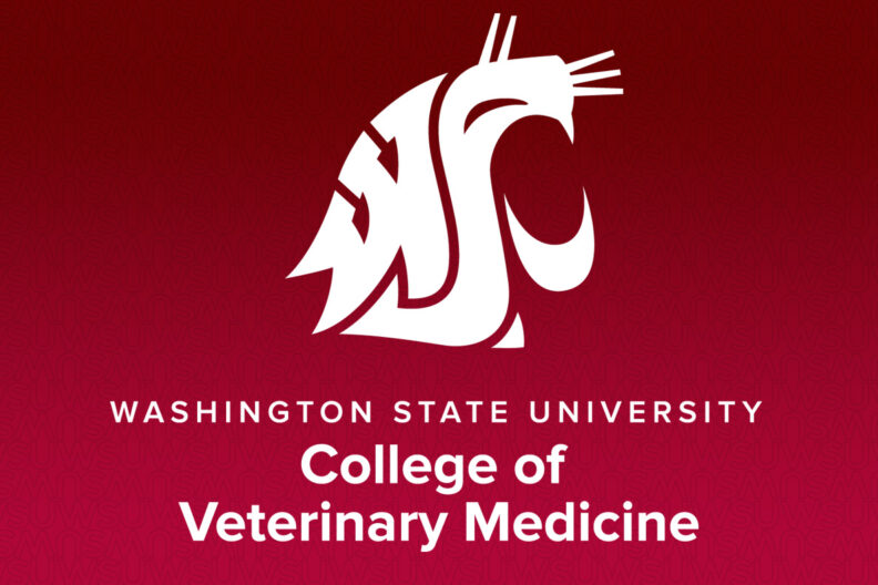 Crimson background with white Cougar Head icon along with WSU College of Veterinary Medicine text.