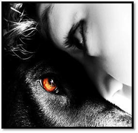 Very close up image of a woman and a dog, face to face. All is black and white except the dog's golden brown right eye.