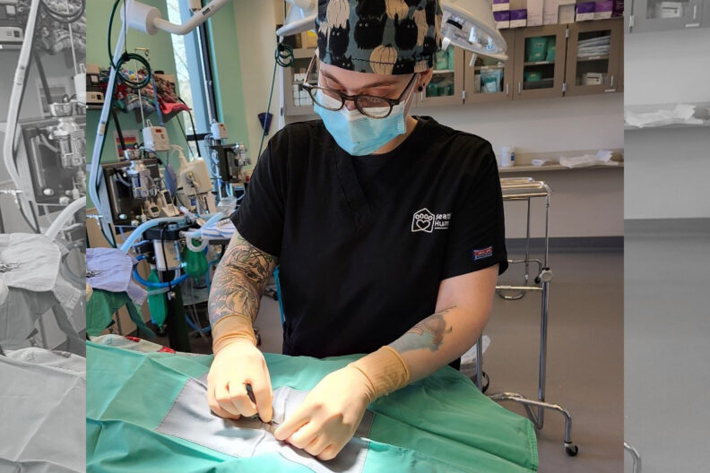 Jenn Hergert in the midst of a procedure.