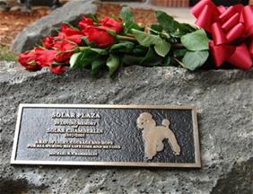 Photo of memorial plaque mounted to large rock.