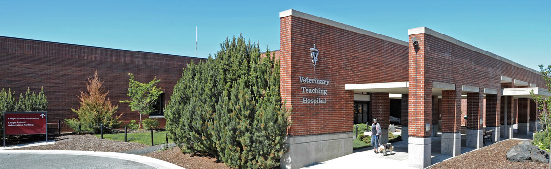 Wide angle photo of the front entrance of the Veterinary Teaching Hospital, from the turnaround on Ott Road.