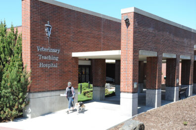 View of the main entrance to the Veterinary Teaching Hospital from the turnaround on Ott Road.