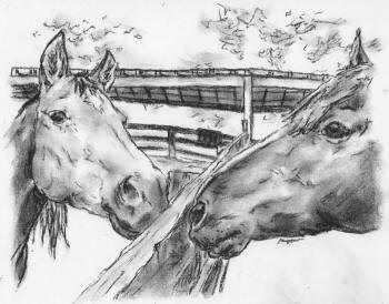 Pencil sketch of two horses touching noses over a corral fence.