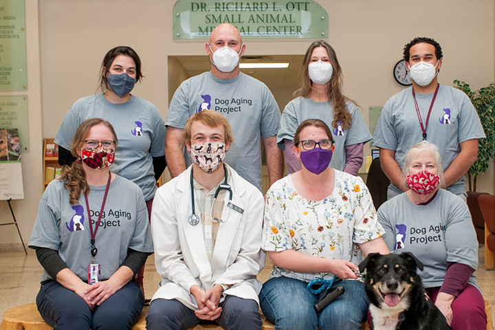 The Dog Aging Project with the WSU veterinarian team along with Joe the dog.