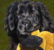Painting of a black retriever with a yellow toy in its mouth.