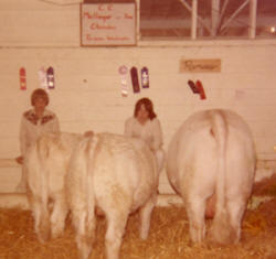 Charles C. Mellinger III (center) with his cows
when he was about 10 years old.