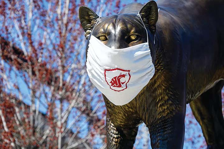 Statue of Butch on the WSU campus wearing a face mask.