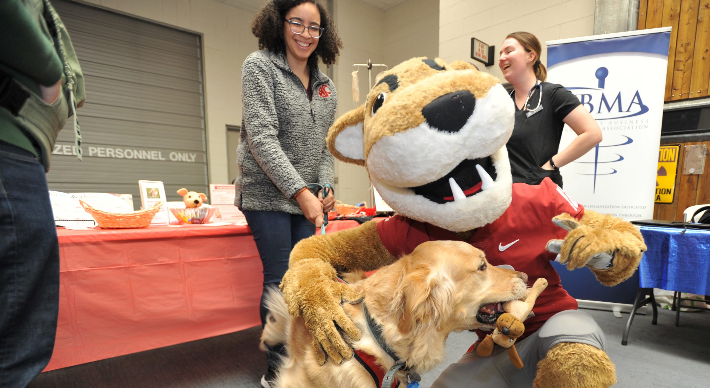 Butch, the WSU mascot, with a golden retriever who has a stuffed toy in its mouth. Three onlookers, including the retriever's owner, are laughing at the interaction.