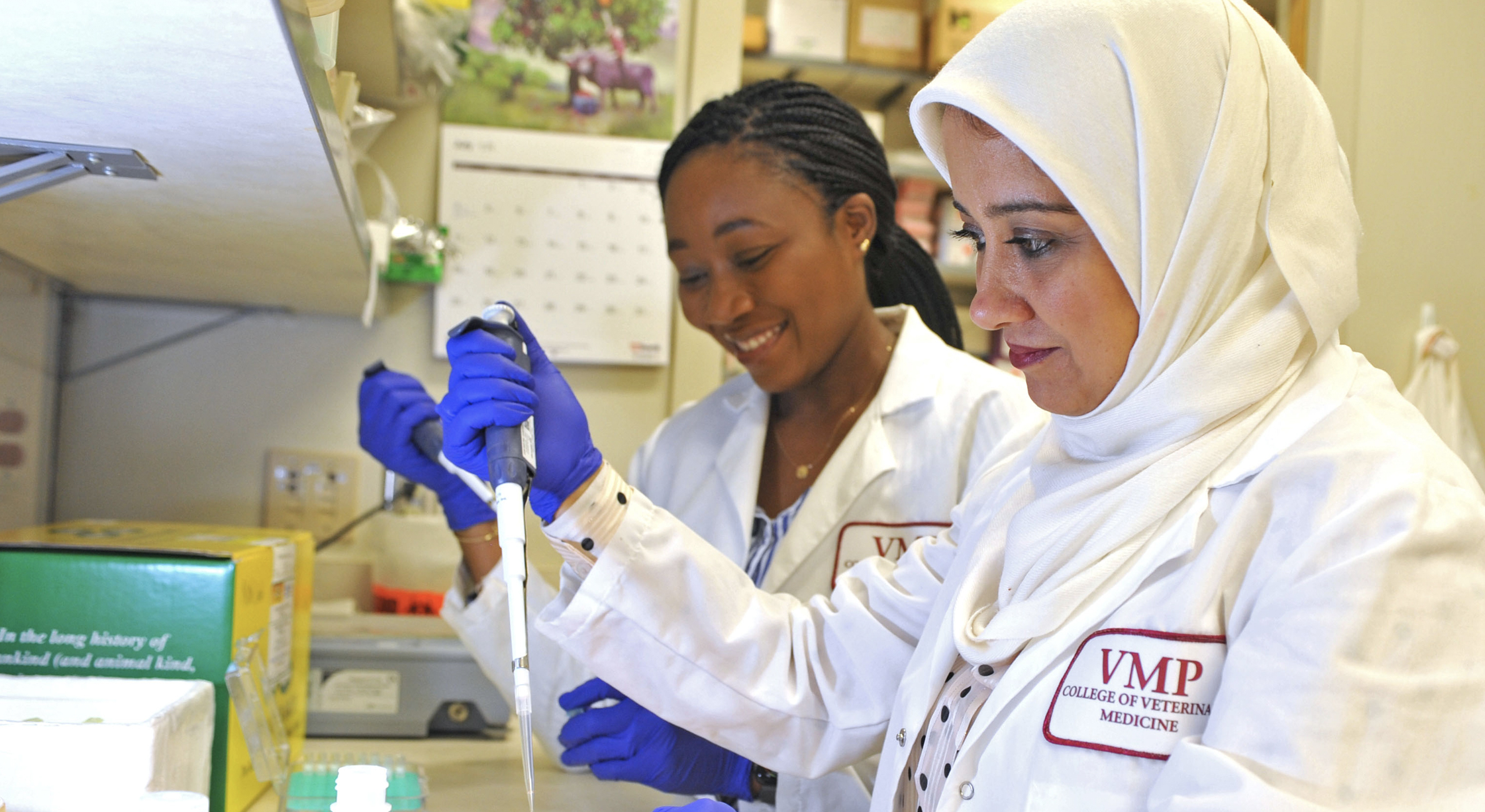 Two technicians working in a lab. Both are looking intently at the work in front of them.