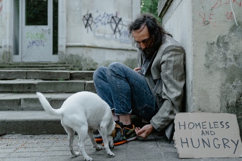 A dog and man who is homeless sitting on a sidewalk.