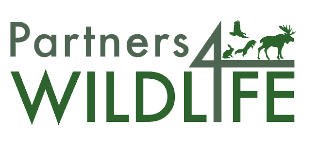Partners 4 Wildlife logo.