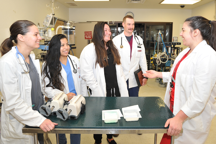A Teaching Hospital resident with four 4th-year DVM students.