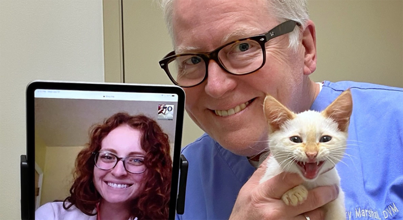 Veterinarian with kitten, student "in the room" on a tablet.