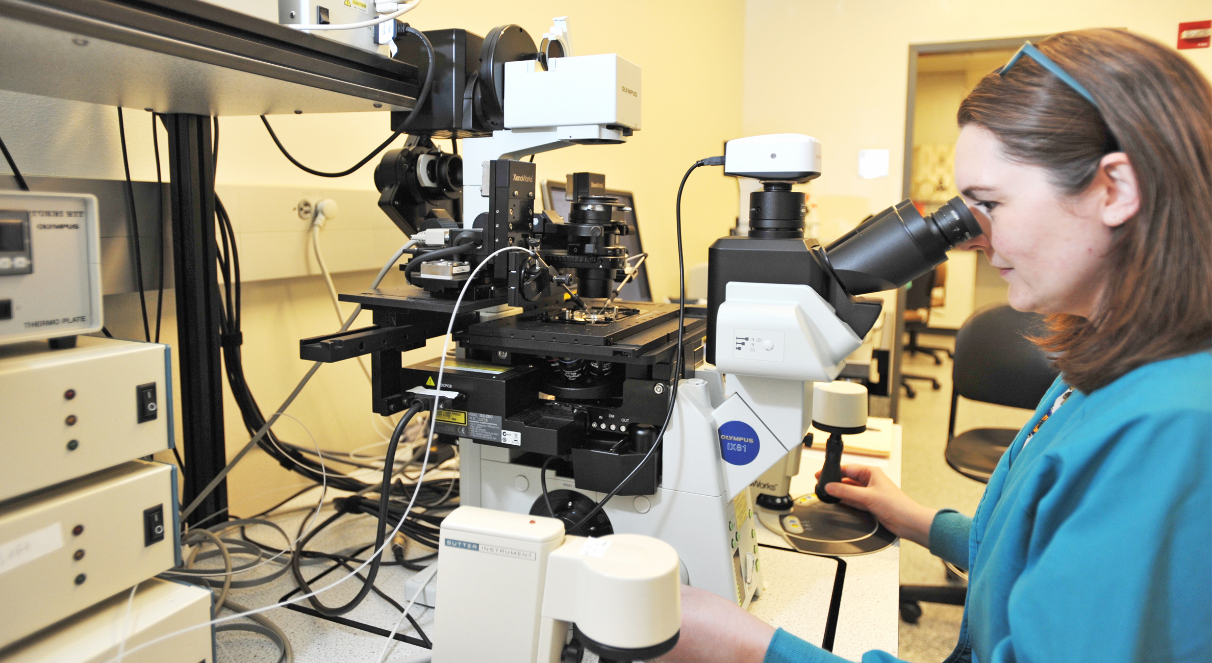 Dr. Miranda Bernhardt using a microscope in a lab.
