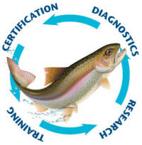Drawing of a trout with a diagram illustrating the cycle of research, diagnostics, certification, and training, leading back to research, etc.