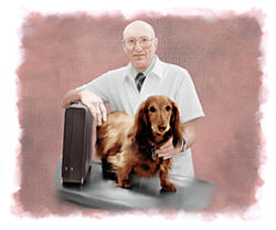 Photo of Martin with a dog on an exam table.