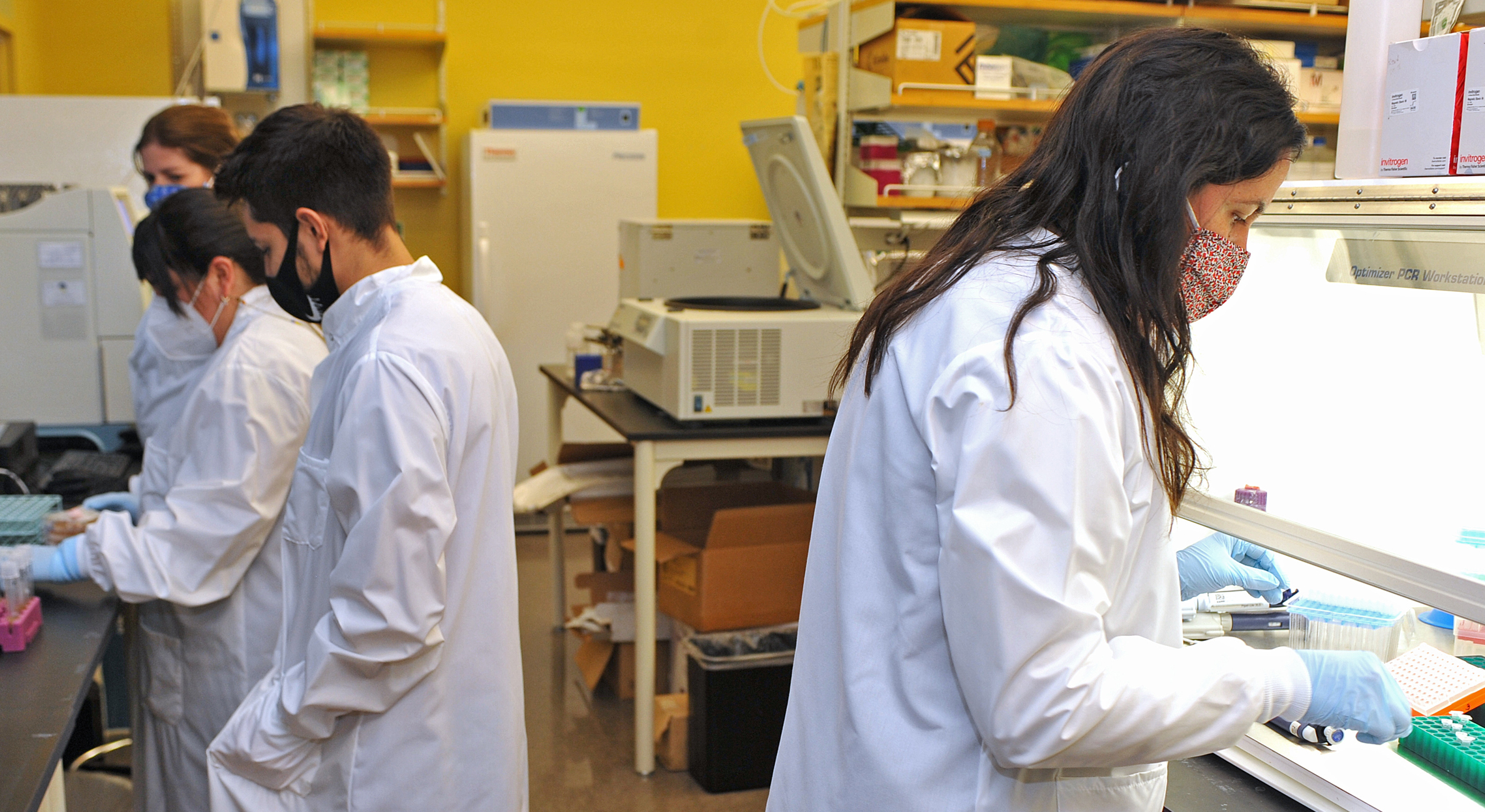 Four people working in a lab. All are wearing labcoats, masks and gloves.
