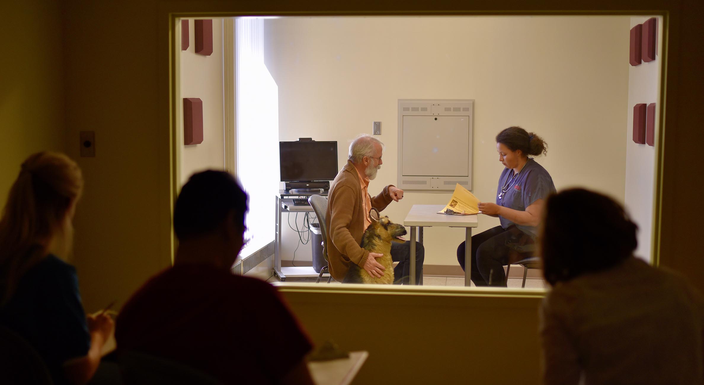 Viewing a simulated patient and client with a student, through one-way glass observation room.