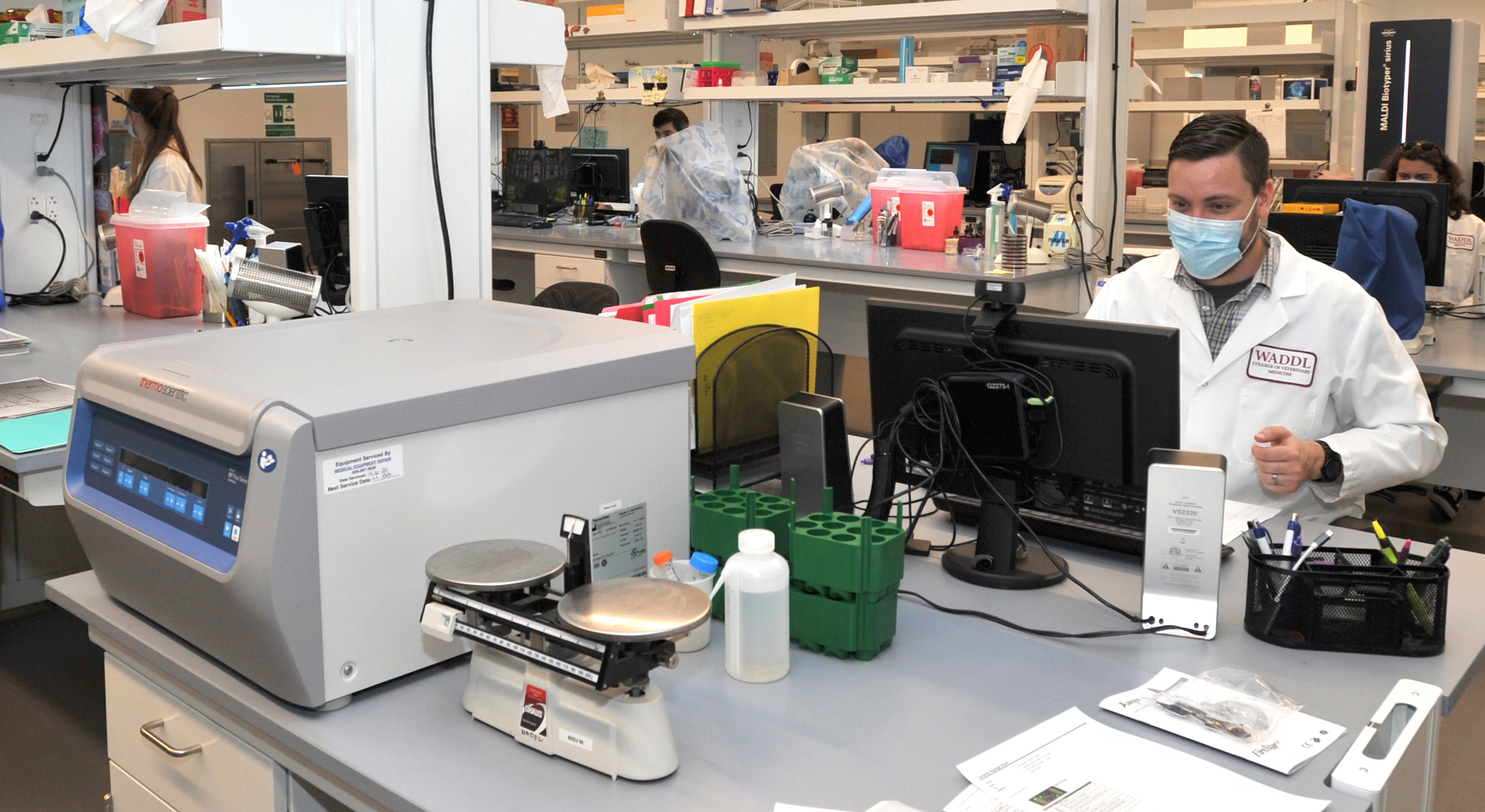 A WADDL lab with 4 people working independently.