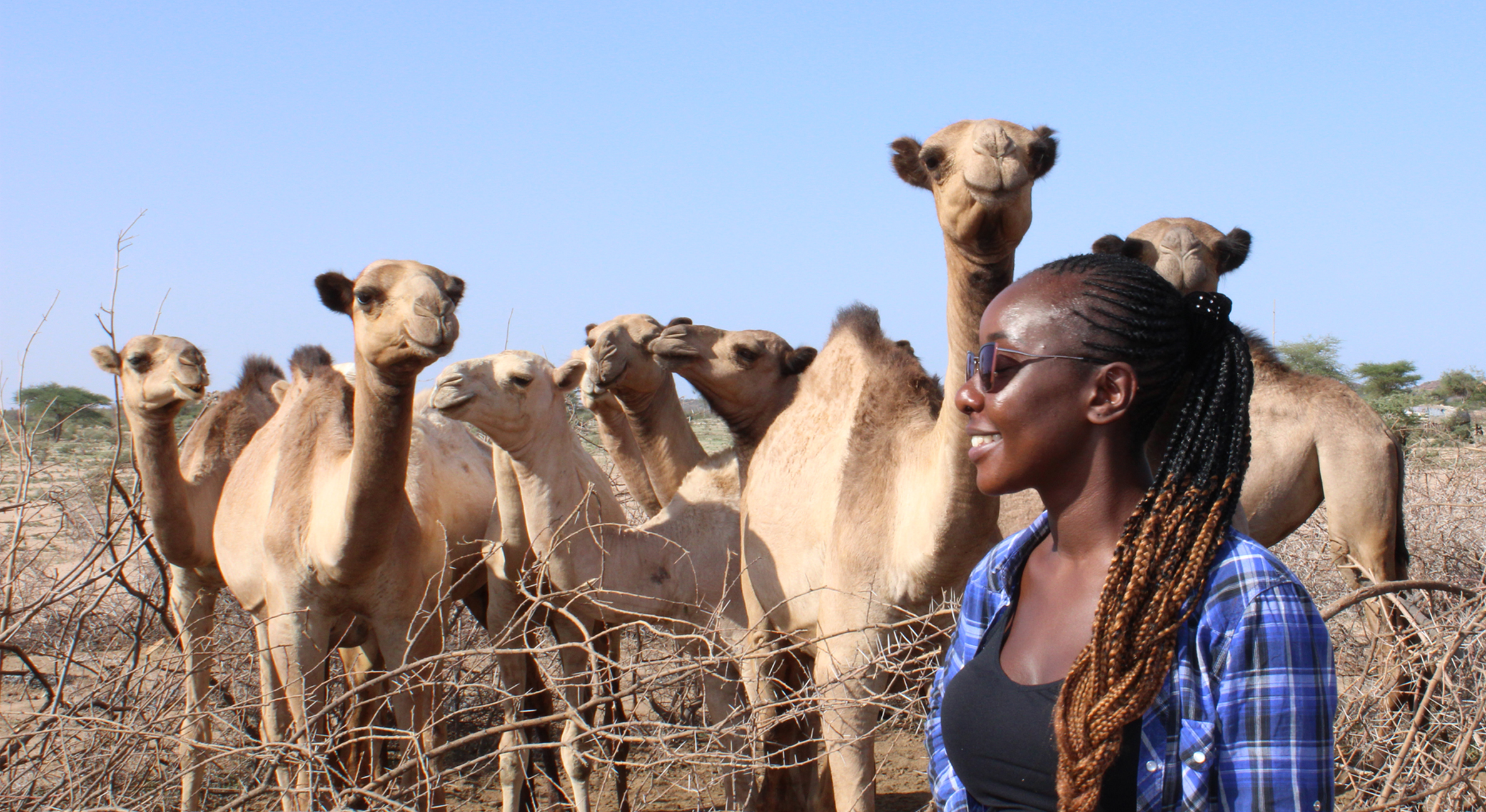 Woman with camels behind her.