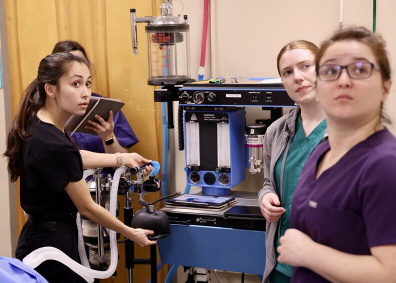 Students working with equipment and viewing a monitor that displays results.