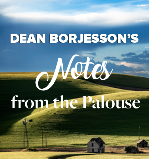 Classical image of the rolling hills of the Palouse near dusk.