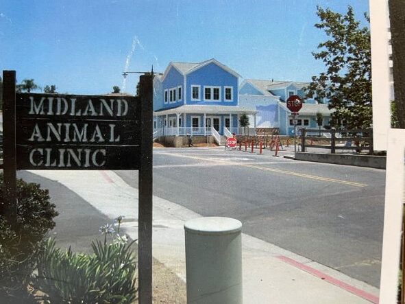 Dr. John Augustine's Midland Animal Clinic is shown.