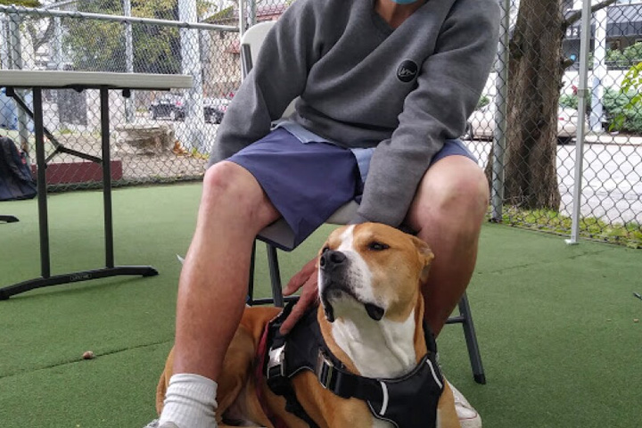 Dog and owner waiting for care.