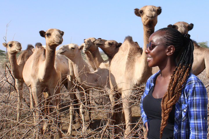 Women with camels