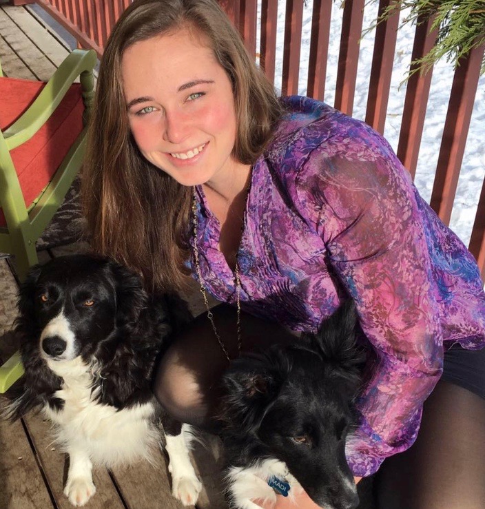 Alley with two border collies.