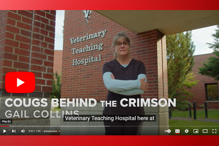 Screen grab from YouTube video. Gail is standing in front of the Veterinary Teaching Hospital. She is wearing dark gray scrubs with a light blue long-sleeved shirt underneath.